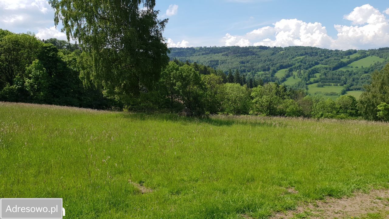Działka inwestycyjna Konradów. Zdjęcie 11