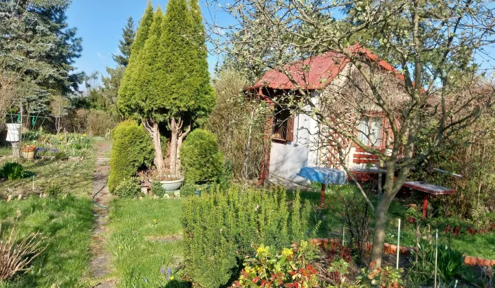 Działka rod Opinogóra Górna, Opinogórska
