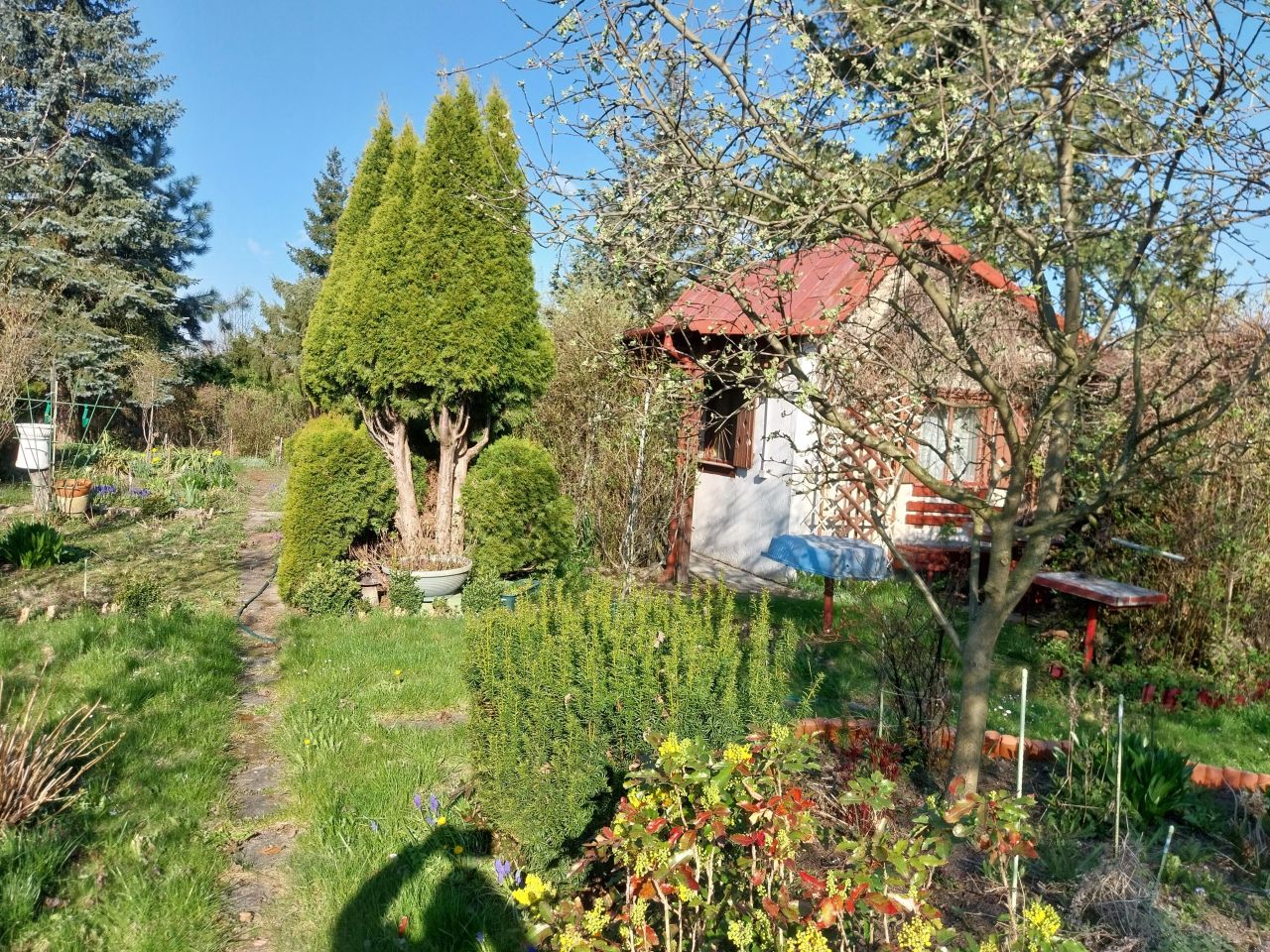 Działka rod Ciechanów, Opinogórska. Zdjęcie 1