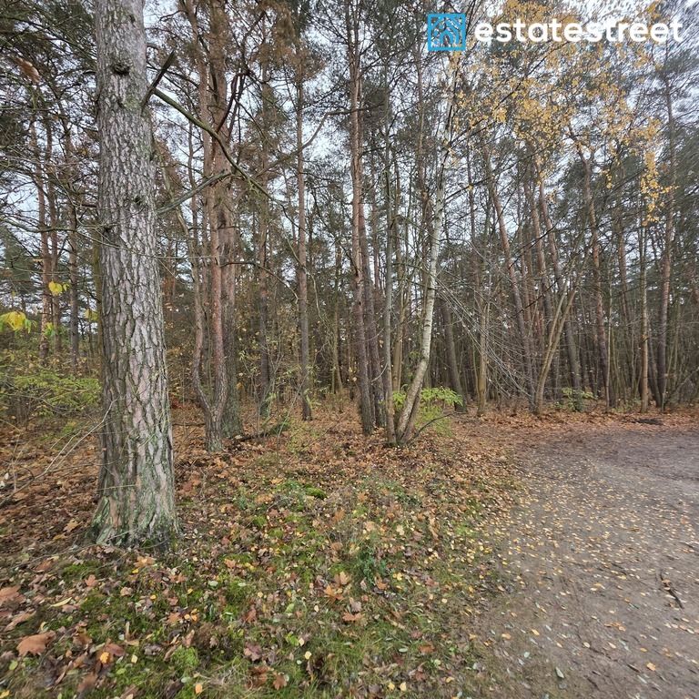 Działka budowlana Otwock, ul. Majowa. Zdjęcie 4