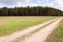 Działka budowlana Wizany. Zdjęcie 2