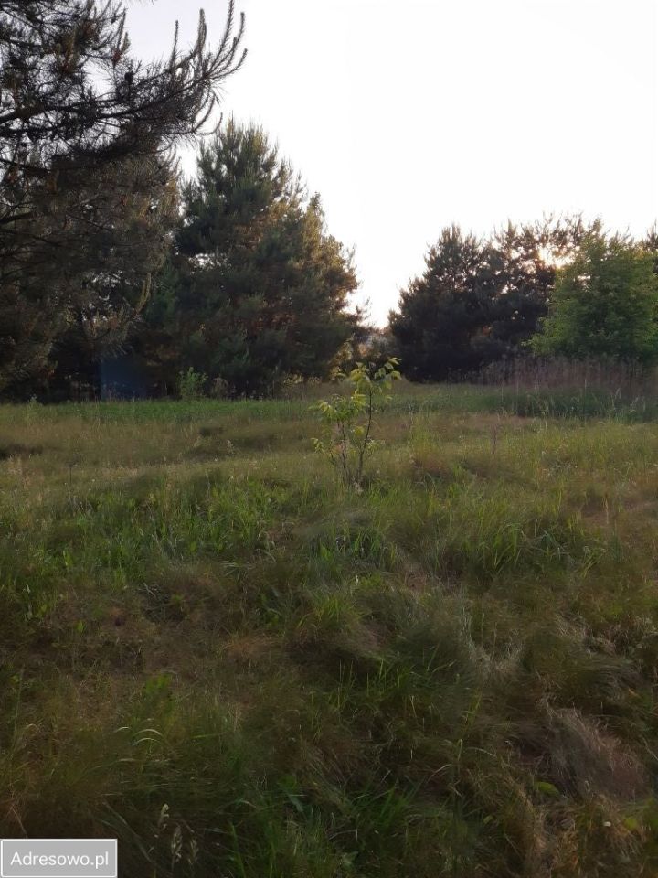 Działka budowlana Głogów Małopolski, ul. Gryczana . Zdjęcie 10