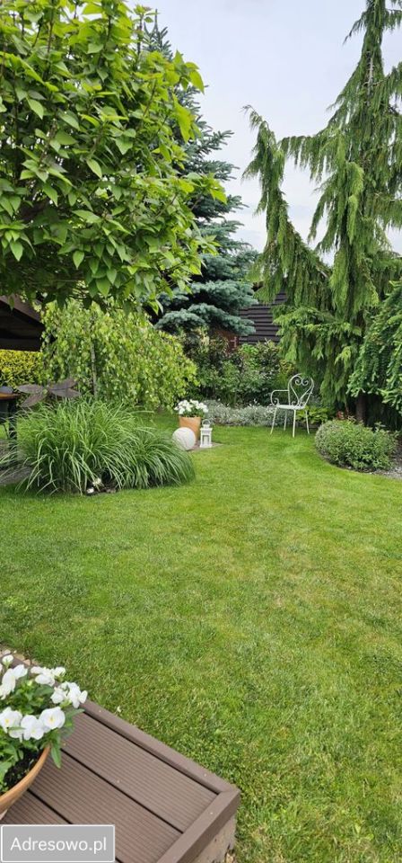 Działka rod Bełchatów, ul. Czapliniecka. Zdjęcie 6