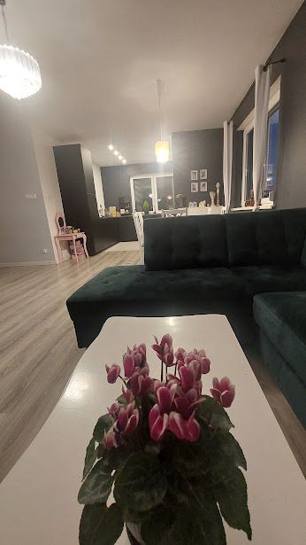 dom wolnostojący, 3 pokoje Strzyżewo. Zdjęcie 5