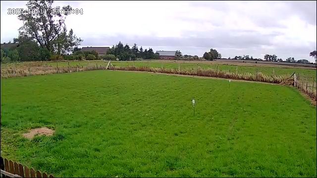 Działka rolna Jedlice Brzostowo