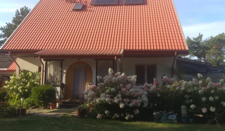 Działka budowlana Borki, ul. Ryńska