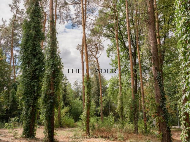 bliźniak, 5 pokoi Konstancin-Jeziorna. Zdjęcie 8