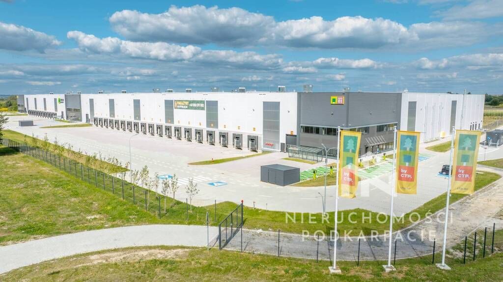 Hala/magazyn Rzeszów, ul. Technologiczna. Zdjęcie 2