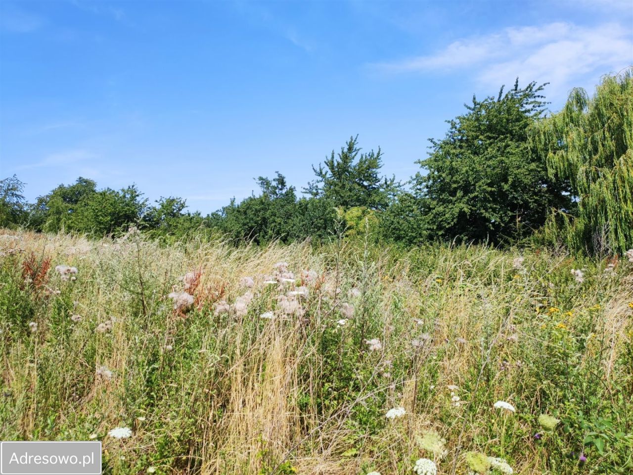 Działka budowlana Dobromierz, ul. Zielona. Zdjęcie 8