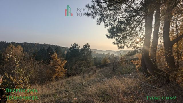 Działka inwestycyjna Głodowo. Zdjęcie 1