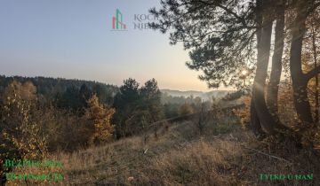 Działka inwestycyjna Głodowo