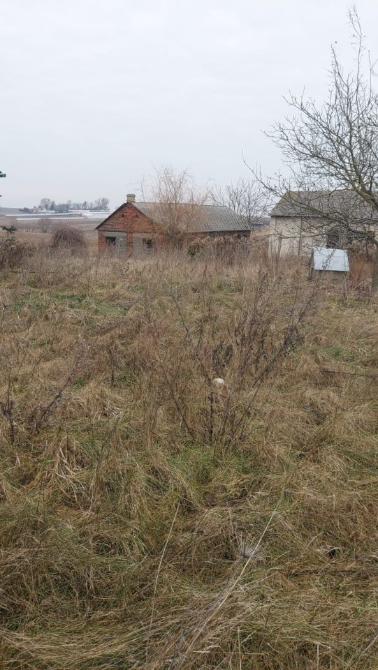 Działka siedliskowa Buchałowice. Zdjęcie 6