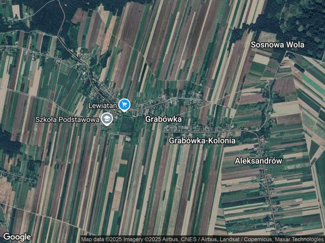 Działka leśna Grabówka. Zdjęcie 1