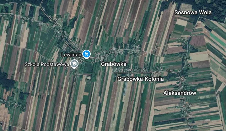 Działka leśna Grabówka