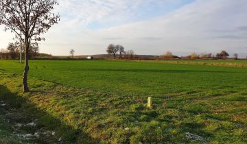 Działka rolna Szprotawa