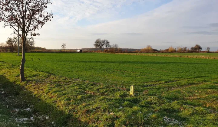 Działka rolna Szprotawa