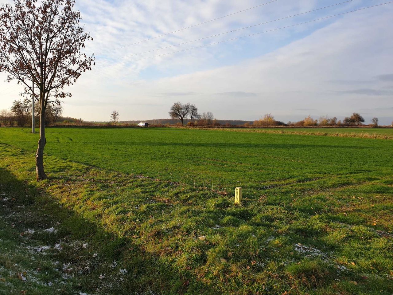 Działka rolna Szprotawa