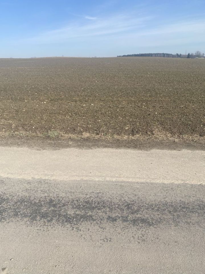 Działka rolno-budowlana Dzierżno. Zdjęcie 2