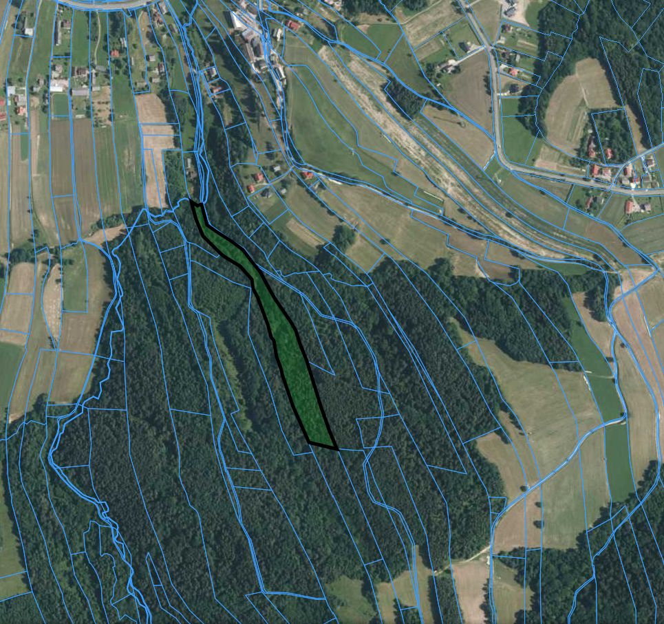 Działka leśna Lipnica Dolna, BRAK. Zdjęcie 2