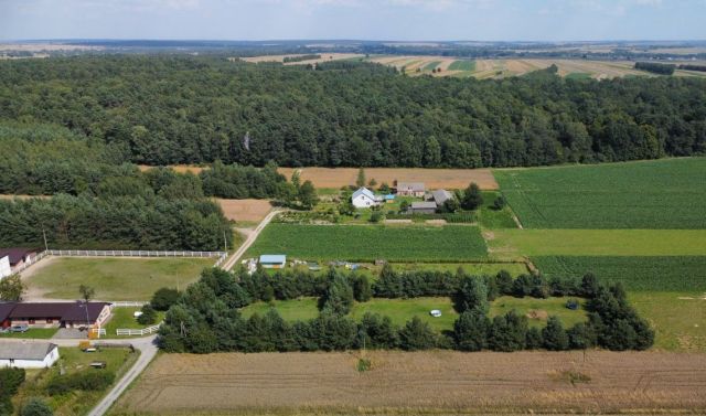 Działka rolno-budowlana Żabia Wola. Zdjęcie 1