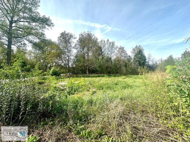 Działka rekreacyjna Morawica. Zdjęcie 5