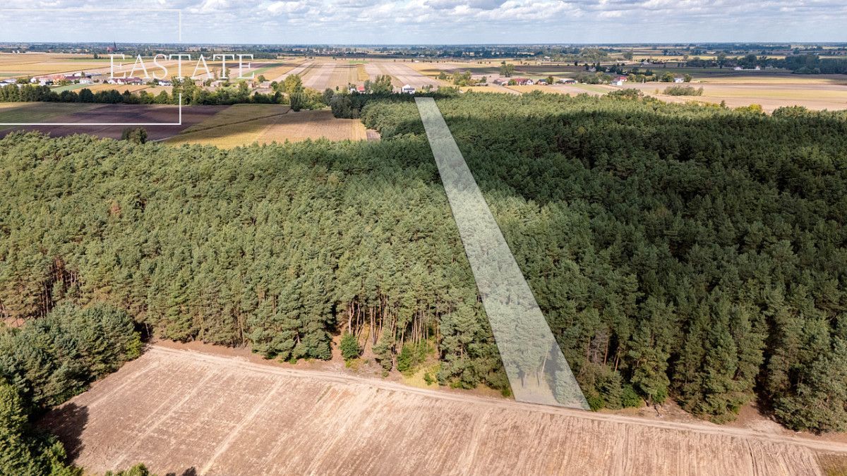 Działka leśna Maurzyce. Zdjęcie 2