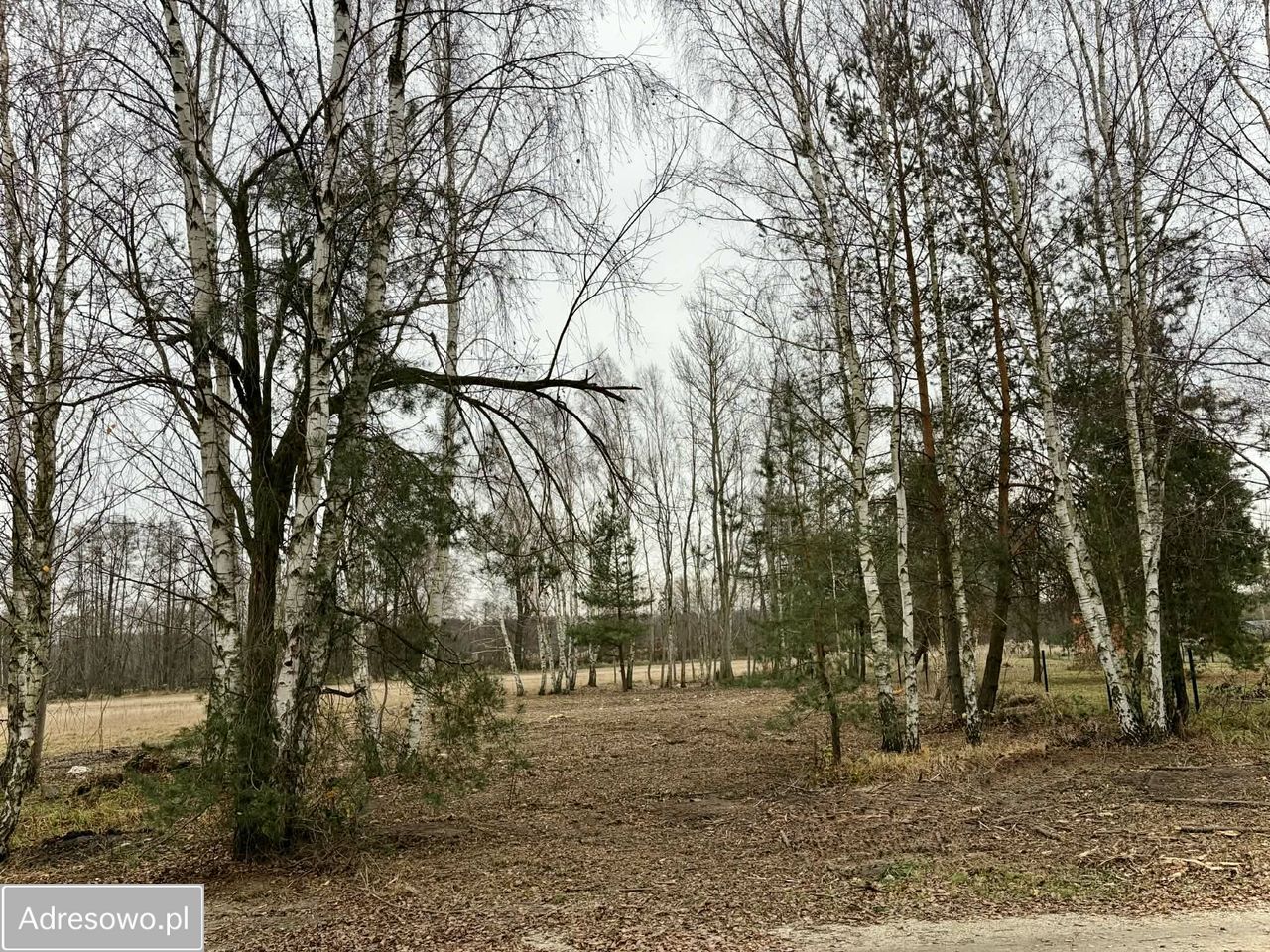 Działka budowlana Chwałowice, ul. Kasztanowa. Zdjęcie 8