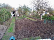 Działka rod Droszków. Zdjęcie 1