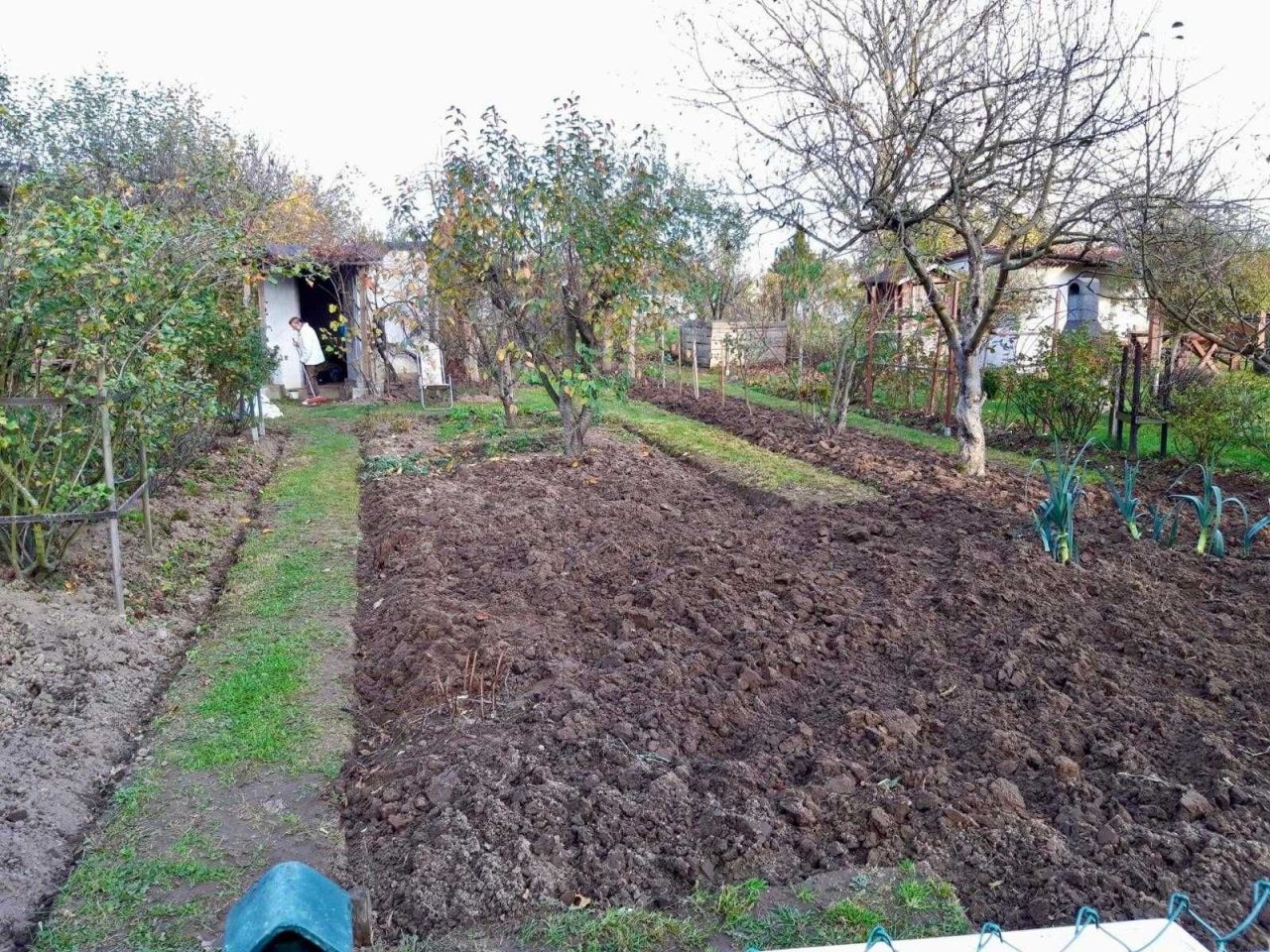 Działka rod Droszków. Zdjęcie 2