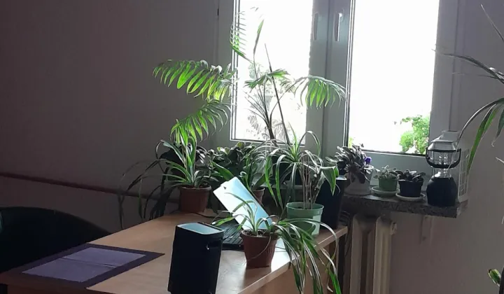 Mieszkanie 1-pokojowe Lublin Felin, ul. Władysława Jagiełły