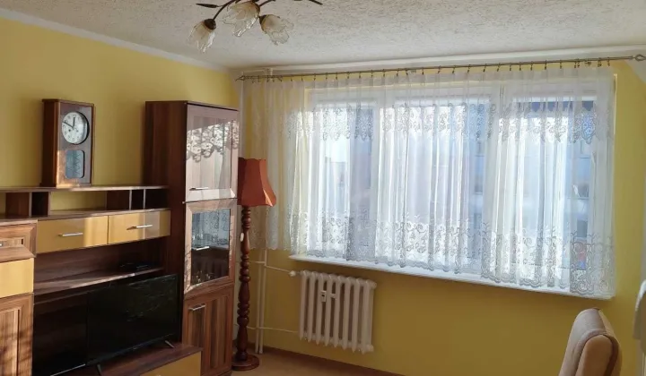 Mieszkanie 1-pokojowe Kościerzyna Centrum, ul. Brzozowa