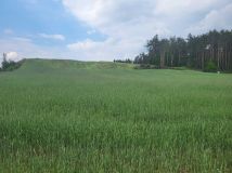 Działka inwestycyjna Radwany-Zaorze. Zdjęcie 4