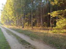 Działka rolna Klukowo. Zdjęcie 2