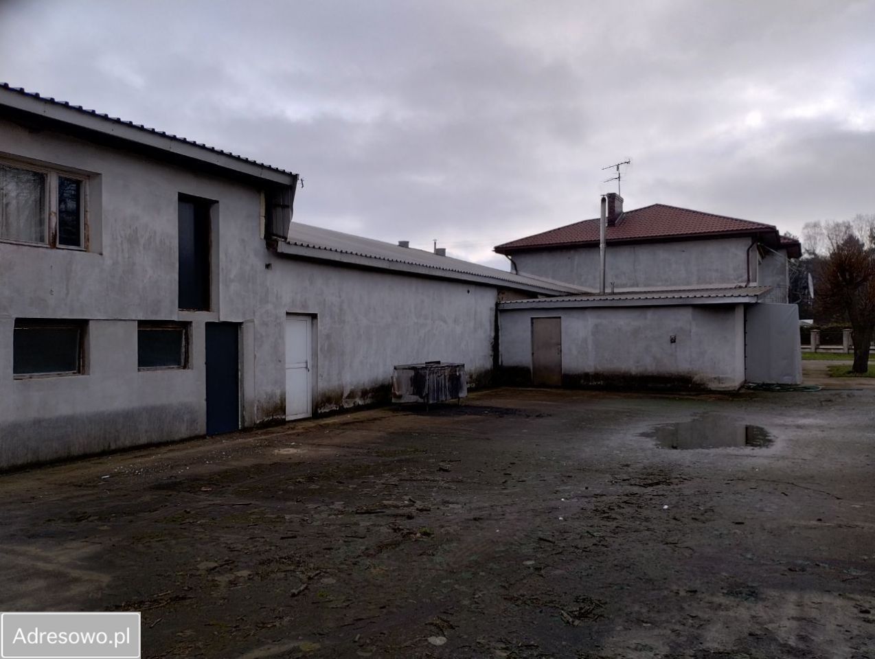 Lokal Dąbrowa-Dzięciel. Zdjęcie 2