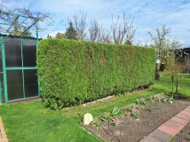 Działka rod Słupca, ul. Róża. Zdjęcie 3