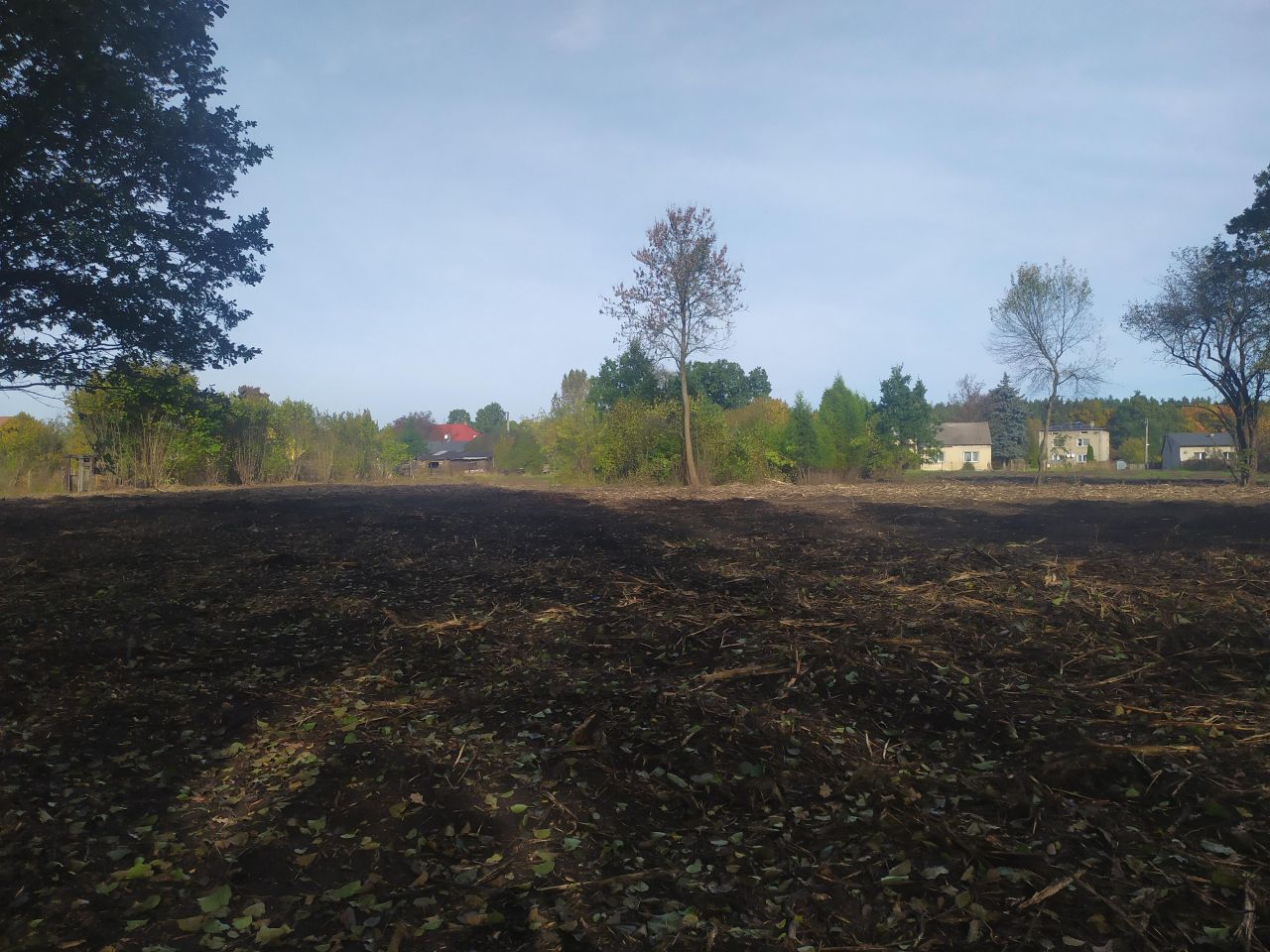 Działka budowlana Sosnowiec Cieśle, ul. Kolonia Cieśle