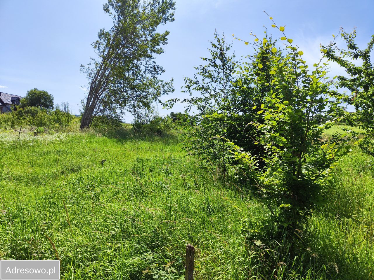 Działka budowlana Dzikowiec. Zdjęcie 6