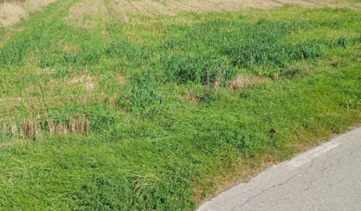 Działka rolna Bezek