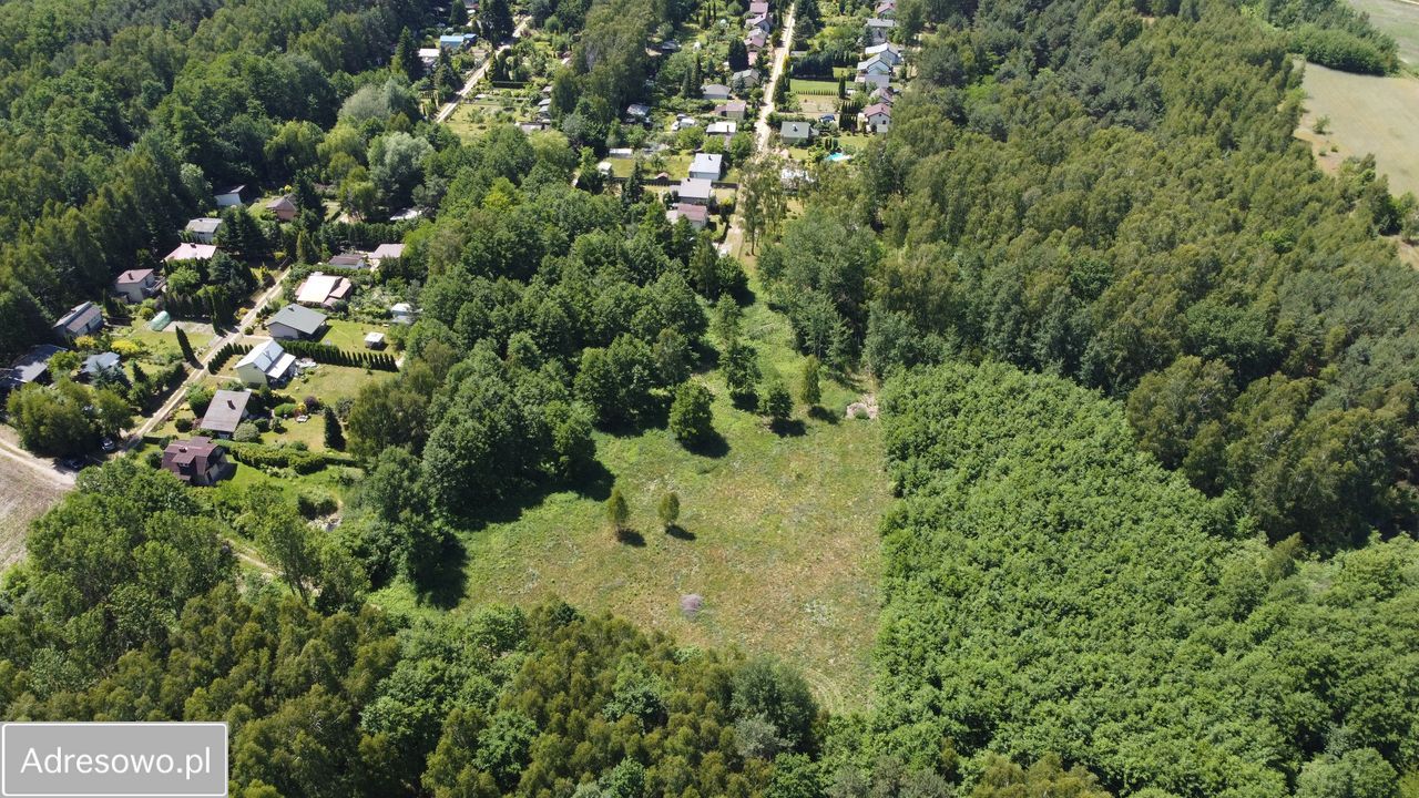 Działka budowlana Chojne. Zdjęcie 6