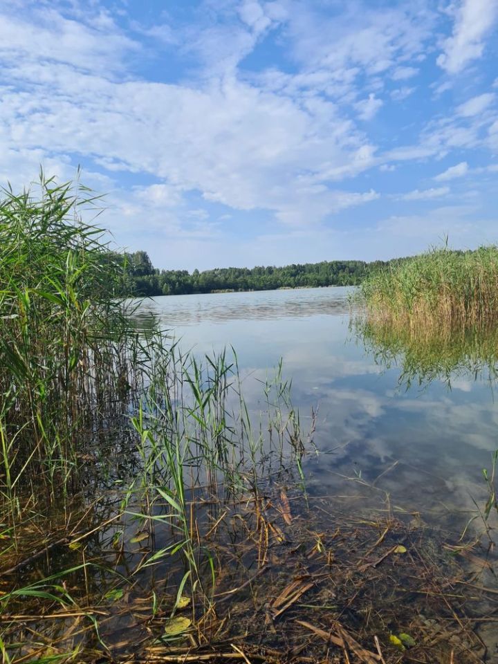 Działka inwestycyjna Popowa Wola. Zdjęcie 3