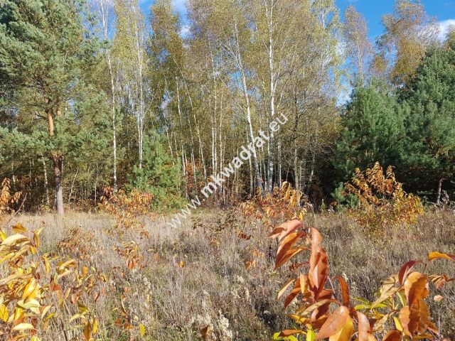 Działka budowlana Grabina Radziwiłłowska. Zdjęcie 7