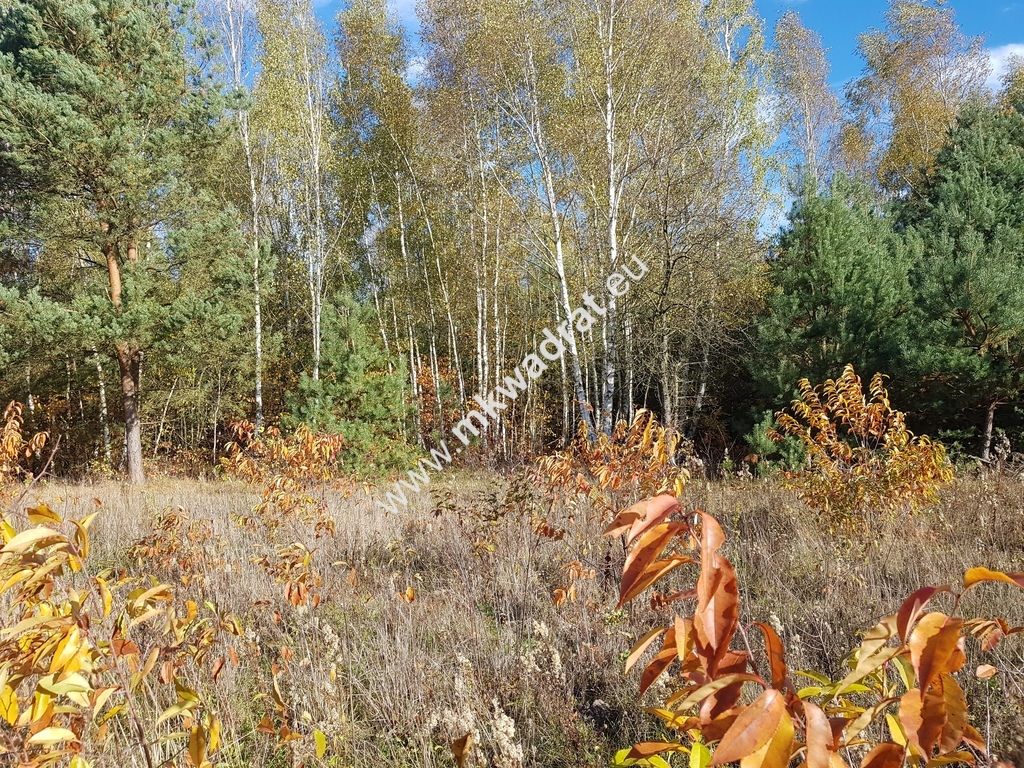 Działka budowlana Grabina Radziwiłłowska. Zdjęcie 7