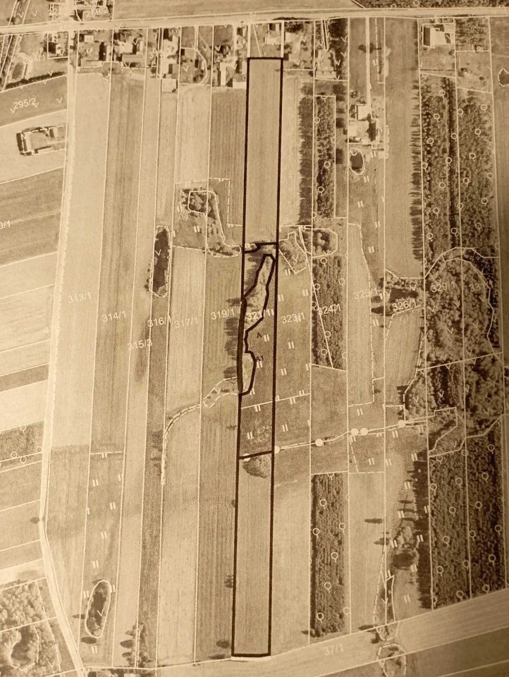 Działka rolna Przywitowo. Zdjęcie 2