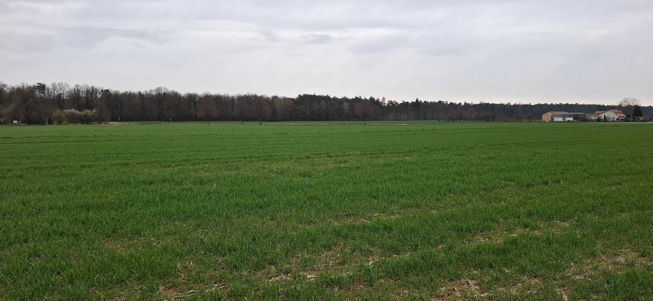 Działka rolno-budowlana Majdan Mętowski, ul. Rzepakowa. Zdjęcie 5