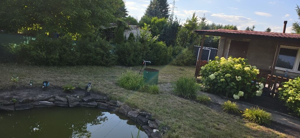 Działka rod Szamotuły. Zdjęcie 3