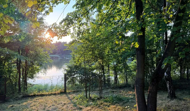 Działka rekreacyjna Janoszyce