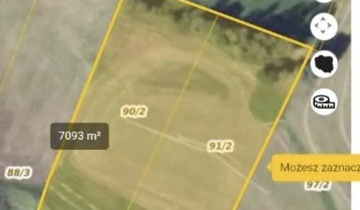 Działka rolna Surowe