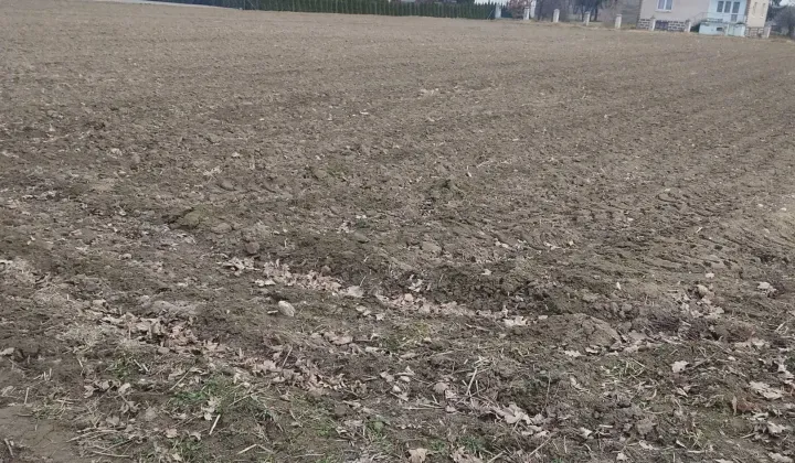 Działka budowlana Krasnystaw, ul. Kościuszki