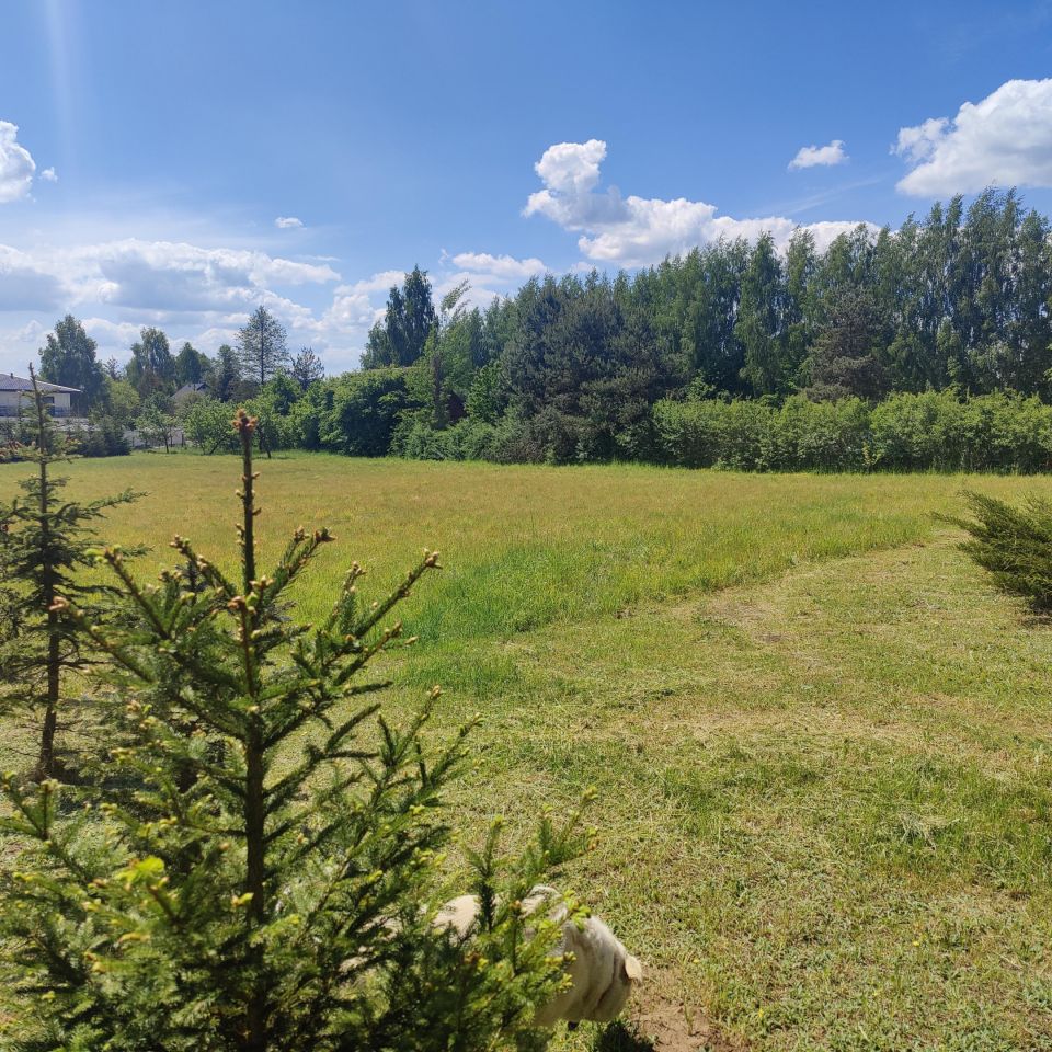 Działka budowlana Kojrany. Zdjęcie 3