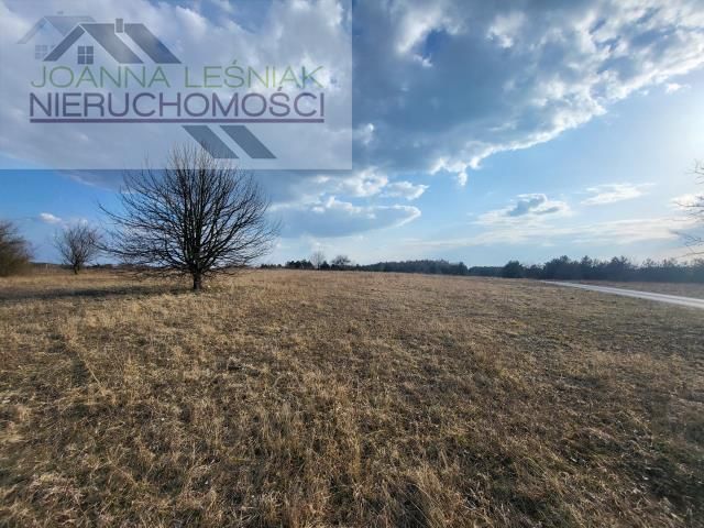 Działka budowlana Chechło, ul. Kluczewska. Zdjęcie 3